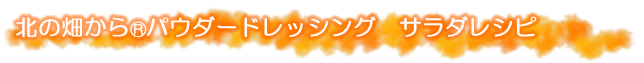 北の畑からパウダードレッシング サラダレシピ