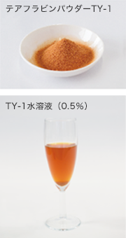 テアフラビンパウダーTY-1、TY-1水溶液(0.5%)